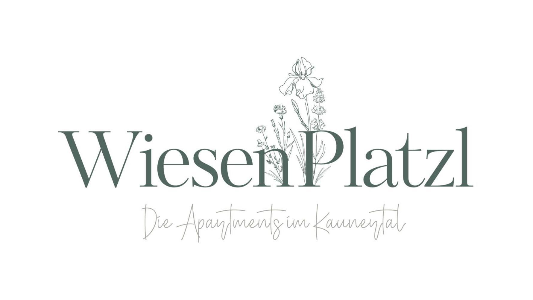 Apart Wiesenplatzl 考恩台尔 外观 照片