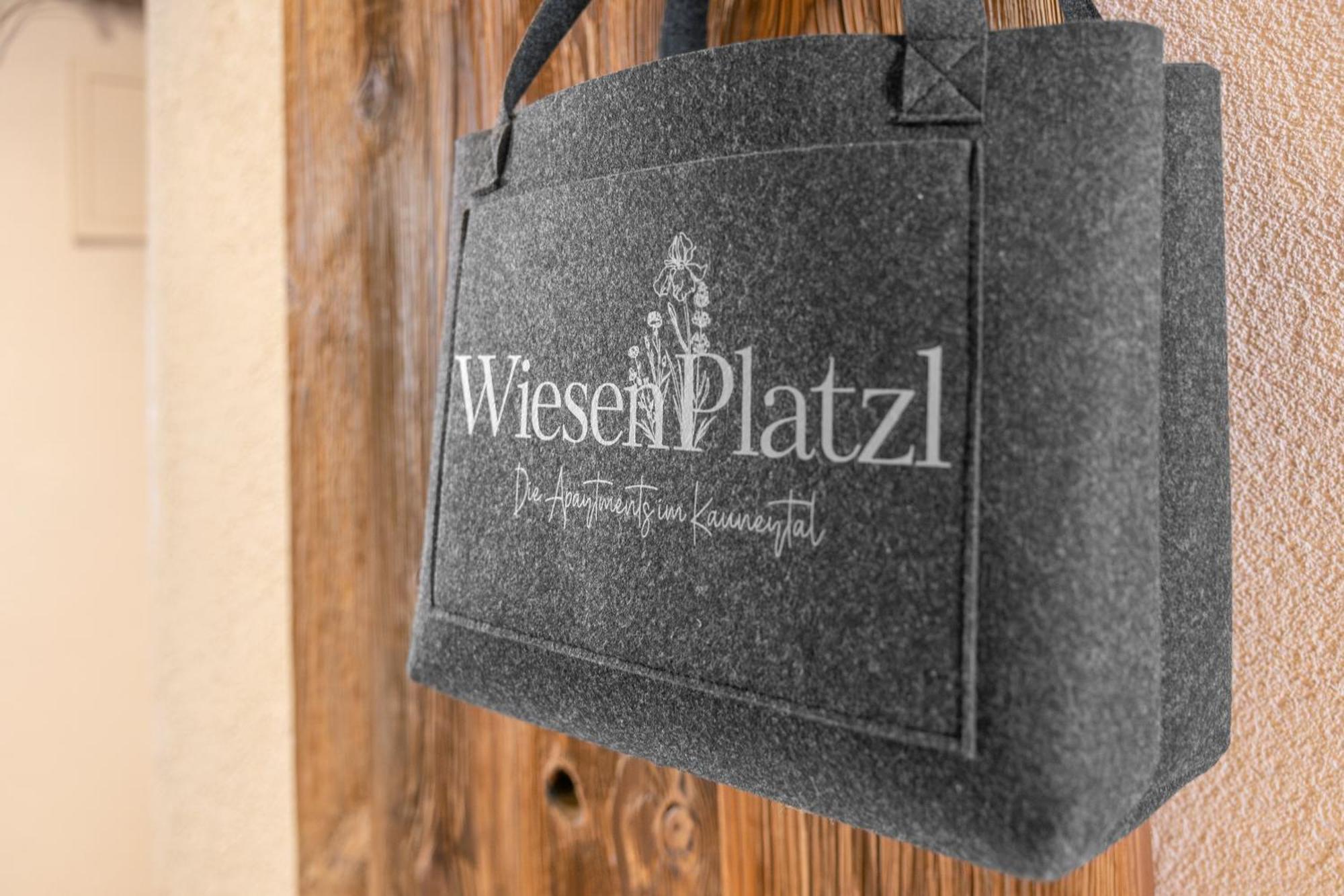 Apart Wiesenplatzl 考恩台尔 外观 照片